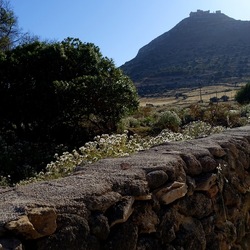 BESTIE. Fotografie di Giulio Azzarello ©2022. BESTIE. Fotografie di Giulio Azzarello ©2022.