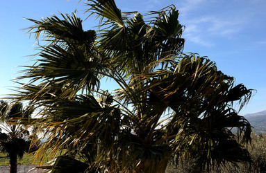 PAESAGGIO CATANESE panoramiche e particolari. Fotografie di Giulio Azzarello &copy;2014.