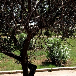 SAN VITO LO CAPO. Fotografie di Giulio Azzarello &copy;2023.