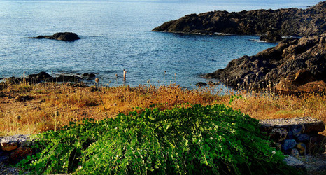 ISOLA DI USTICA la costa. Fotografie di Giulio Azzarello &copy;2016.
