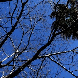 ORTO BOTANICO DI PALERMO. Fotografie di Giulio Azzarello ©2022. ORTO BOTANICO DI PALERMO. Fotografie di Giulio Azzarello ©2022.
