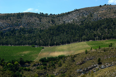 SEGESTA in Sicilia sito archeologico. Fotografie di Giulio Azzarello ©2014.
