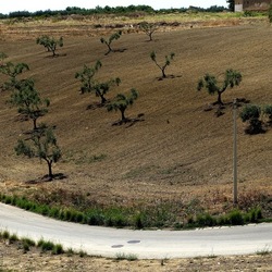 SELINUNTE. Fotografie di Giulio Azzarello ©2022. SELINUNTE. Fotografie di Giulio Azzarello ©2022.
