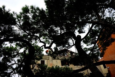 BIENNALE ARTI CONTEMPORANEE DI VENEZIA fotografie di Giulio Azzarello ©2020.