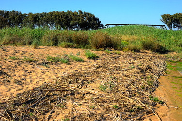 CANNETI in SICILIA. Fotografie di Giulio Azzarello &copy;2016.