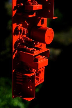 STILL LIFE ASSURDI fotografie di Giulio Azzarello ©2020.