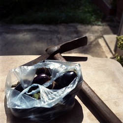 STILL LIFE ASSURDI fotografie di Giulio Azzarello ©2021. STILL LIFE ASSURDI fotografie di Giulio Azzarello ©2021.