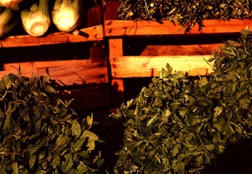 VUCCIRIA anni 90. Fotografie di Giulio Azzarello ©2022. VUCCIRIA anni 90. Fotografie di Giulio Azzarello ©2022.