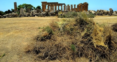 SELINUNTE sito archeologico. Fotografie di Giulio Azzarello ©2018. SELINUNTE sito archeologico. Fotografie di Giulio Azzarello ©2018.