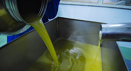 TIPICO FRANTOIO fotografie di Giulio Azzarello ©2014. TIPICO FRANTOIO fotografie di Giulio Azzarello ©2014.