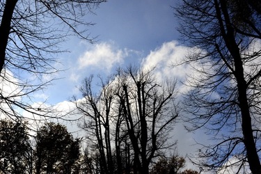 VENEZIA Giardini della Biennale di Arch. Cont.. Fotografie di Giulio Azzarello ©2022.