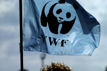 WWF Sicilia le Saline di Trapani. Fotografie di Giulio Azzarello &copy;2014.
