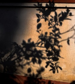 OMBRE di agosto. Fotografie di Giulio Azzarello &copy;2018.