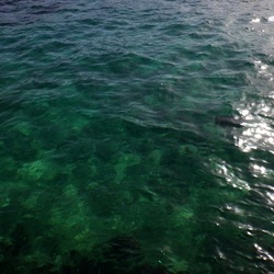 MONDELLO. Fotografie di Giulio Azzarello &copy;2022.