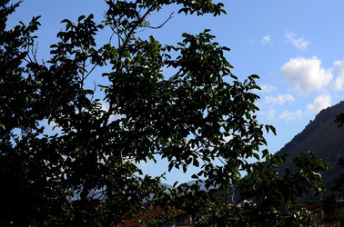 NUVOLE E NATURA fotografie di Giulio Azzarello &copy;2014.