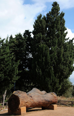 LUIGI PIRANDELLO il parco e la casa museo. Fotografie di Giulio Azzarello ©2014.