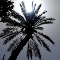PALERMO. Fotografie di Giulio Azzarello &copy;2022.