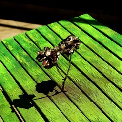 METALLICO. Fotografia di Giulio Azzarello &copy;2023.