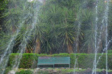 IL GIARDINO INGLESE di Palermo. Fotografie di Giulio Azzarello &copy;2014.