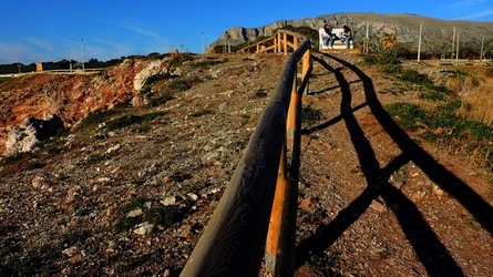 CAPO RAMA riserva naturale Terrasini. Fotografie di Giulio Azzarello &copy;2020.