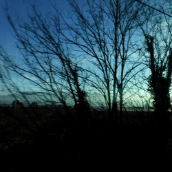 TRENO fotografie di Giulio Azzarello ©2020. TRENO fotografie di Giulio Azzarello ©2020.