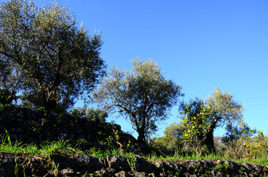 GOLE DELL ALCANTARA in Sicilia. Fotografie di Giulio Azzarello &copy;2016.