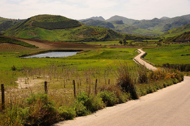 PAESAGGIO SICILIANO nel luogo delle macalube in Sicilia. Fotografie di Giulio Azzarello &copy;2014.