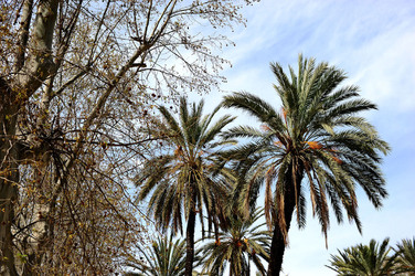 VILLA BONANNO a Palermo. Fotografie di Giulio Azzarello &copy;2016.