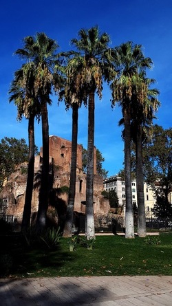 ROMA fotografie di Giulio Azzarello &copy;2022.