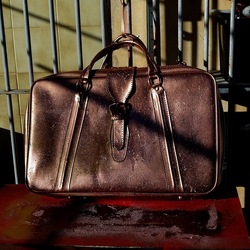 NATURE MORTE. Fotografie di Giulio Azzarello ©2024. NATURE MORTE. Fotografie di Giulio Azzarello ©2024.