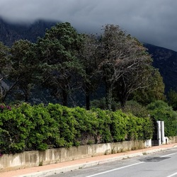 CAMMINANDO. Fotografie di Giulio Azzarello &copy;2024.