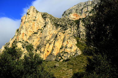 MACCHIA MEDITERRANEA in Sicilia. Fotografie di Giulio Azzarello &copy;2106.