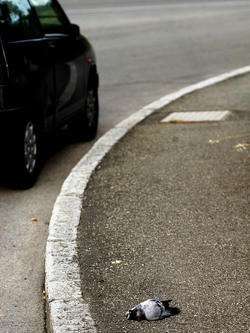 FOTOGRAFIE SPECIALI bianco e nero colore astratto concettuale grafico. Fotografie di Giulio Azzarello &copy;2014.