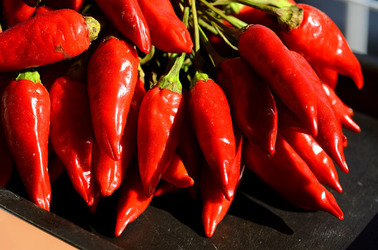 PEPERONCINO fotografie di Giulio Azzarello ©2014. PEPERONCINO fotografie di Giulio Azzarello ©2014.