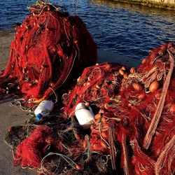 RETI DA PESCA. Fotografie di Giulio Azzarello &copy;2022.