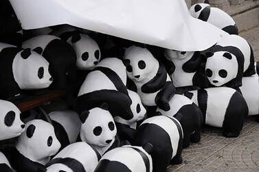 SIRACUSA arte a Ortiggia. Fotografie di Giulio Azzarello &copy;2014.