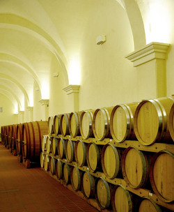 BOTTI per il vino. Fotografie di Giulio Azzarello ©2016. BOTTI per il vino. Fotografie di Giulio Azzarello ©2016.