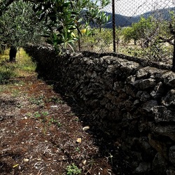 CAMMINANDO. Fotografie di Giulio Azzarello &copy;2024.