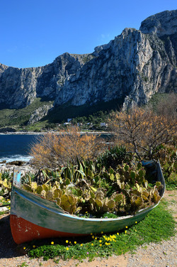 CAPO GALLO riserva marina e naturalistica a Palermo panoramiche e particolari. Fotografie di Giulio Azzarello ©2014. CAPO GALLO riserva marina e naturalistica a Palermo panoramiche e particolari. Fotografie di Giulio Azzarello ©2014.
