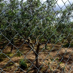 CAMMINANDO. Fotografie di Giulio Azzarello &copy;2024.