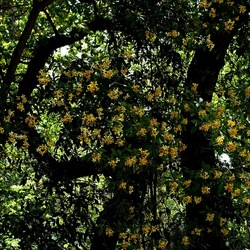 ORTO BOTANICO. Fotografie di Giulio Azzarello &copy;2024.