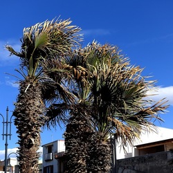 COSTA SICILIANA. Fotografie di Giulio Azzarello &copy;2022.