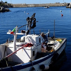 ISOLA. Fotografie di Giulio Azzarello &copy;2024.