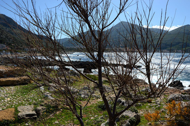 CAPO GALLO riserva marina e naturalistica a Palermo panoramiche e particolari. Fotografie di Giulio Azzarello ©2014. CAPO GALLO riserva marina e naturalistica a Palermo panoramiche e particolari. Fotografie di Giulio Azzarello ©2014.