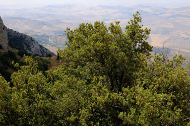 IL PARCO DELLE MADONIE da Polizzi Generosa in Sicilia. Fotografie di Giulio Azzarello &copy;2014.