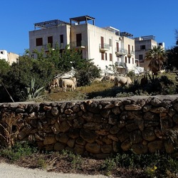 BESTIE. Fotografie di Giulio Azzarello ©2022. BESTIE. Fotografie di Giulio Azzarello ©2022.