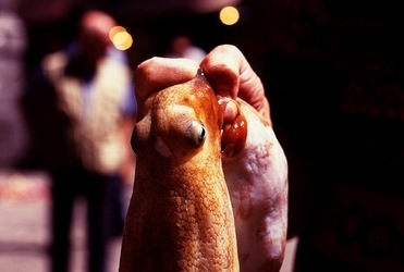 VUCCIRIA anni 90. Fotografie di Giulio Azzarello ©2022. VUCCIRIA anni 90. Fotografie di Giulio Azzarello ©2022.