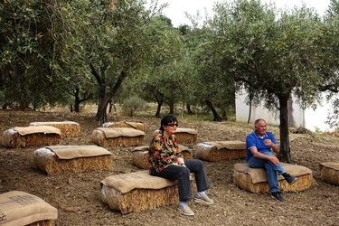 ULIVETO SICILIANO. Fotografie di Giulio Azzarello ©2022.