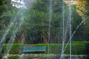 IL GIARDINO INGLESE di Palermo. Fotografie di Giulio Azzarello &copy;2014.