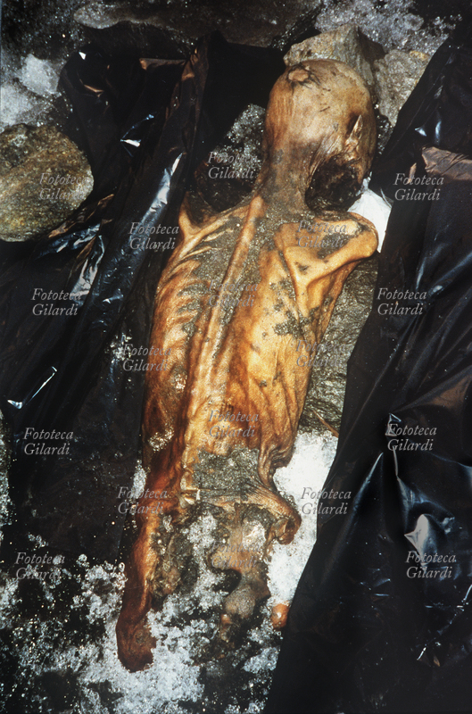 PREISTORIA Mummia (veduta del dorso) di uomo preistorico vissuto circa 5300 anni fa ritrovata nei ghiacciai permanenti del Similaun, Val Senales in Tirolo il 19 settembre 1991